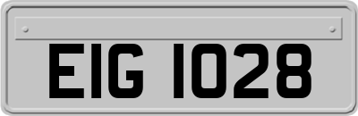 EIG1028