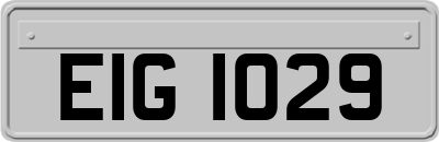 EIG1029