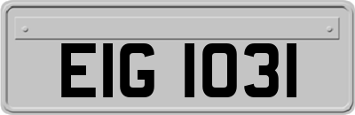 EIG1031