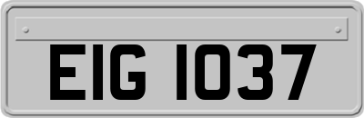EIG1037