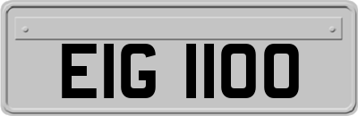 EIG1100