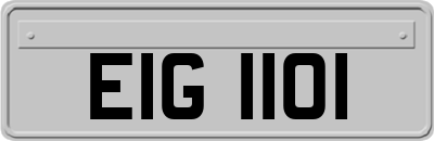 EIG1101
