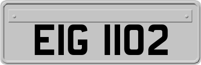 EIG1102