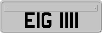 EIG1111
