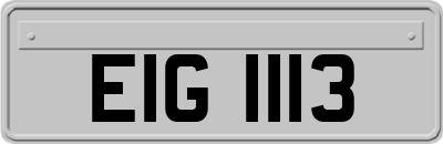 EIG1113