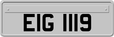 EIG1119