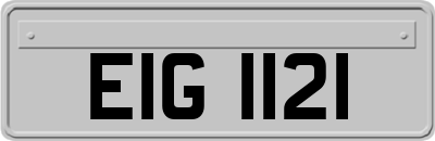 EIG1121