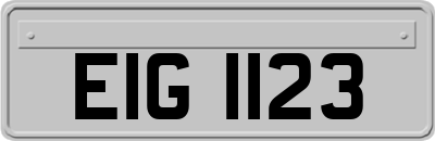 EIG1123