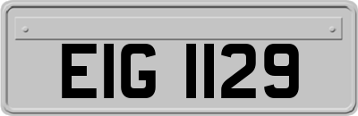 EIG1129
