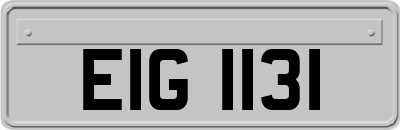 EIG1131