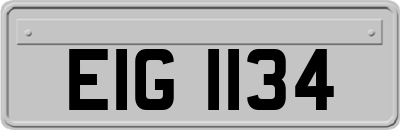 EIG1134