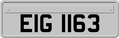 EIG1163