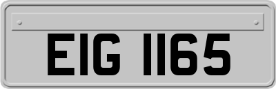 EIG1165