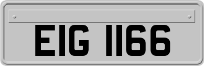 EIG1166