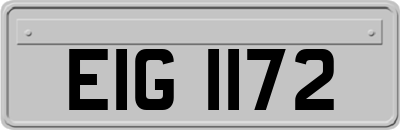 EIG1172