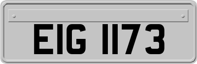 EIG1173