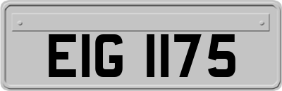 EIG1175