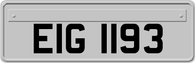EIG1193