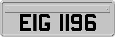 EIG1196