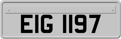 EIG1197