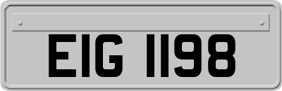 EIG1198