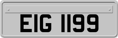 EIG1199