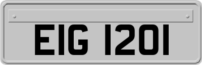 EIG1201