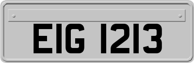EIG1213