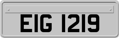 EIG1219