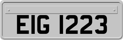 EIG1223