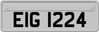 EIG1224