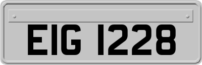 EIG1228
