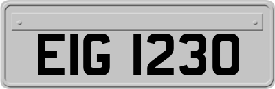 EIG1230