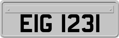 EIG1231