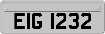 EIG1232