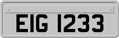 EIG1233