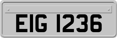 EIG1236
