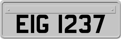 EIG1237