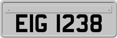 EIG1238