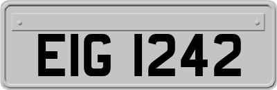 EIG1242