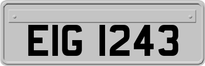 EIG1243