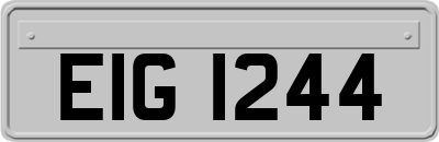 EIG1244