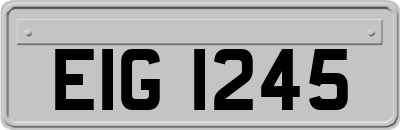 EIG1245