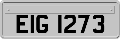 EIG1273