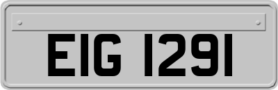 EIG1291
