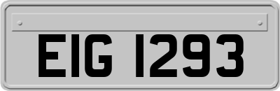 EIG1293