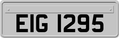 EIG1295
