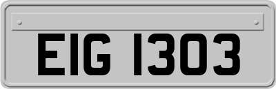 EIG1303