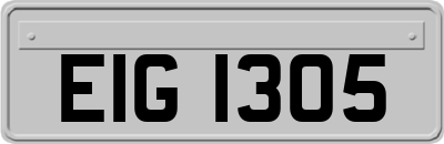 EIG1305