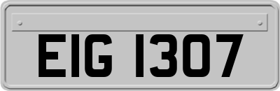 EIG1307